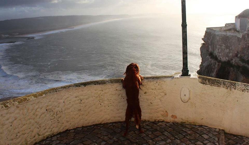 Nazare - The Little Star Villa Luaran gambar